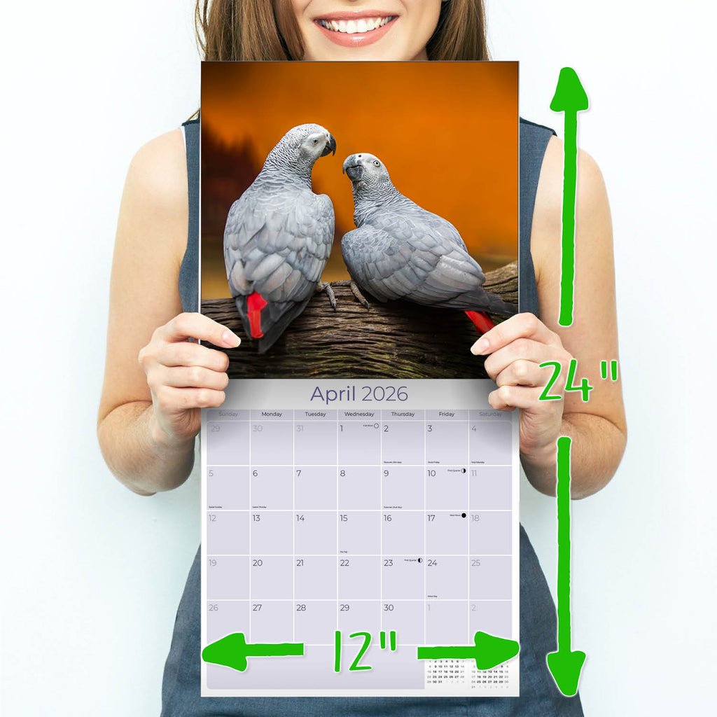 African Greys Wall Calendar 2026