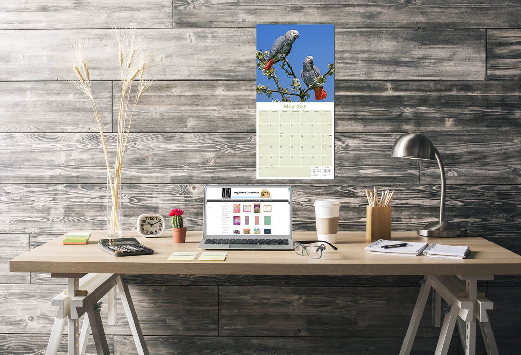 African Greys Wall Calendar 2026