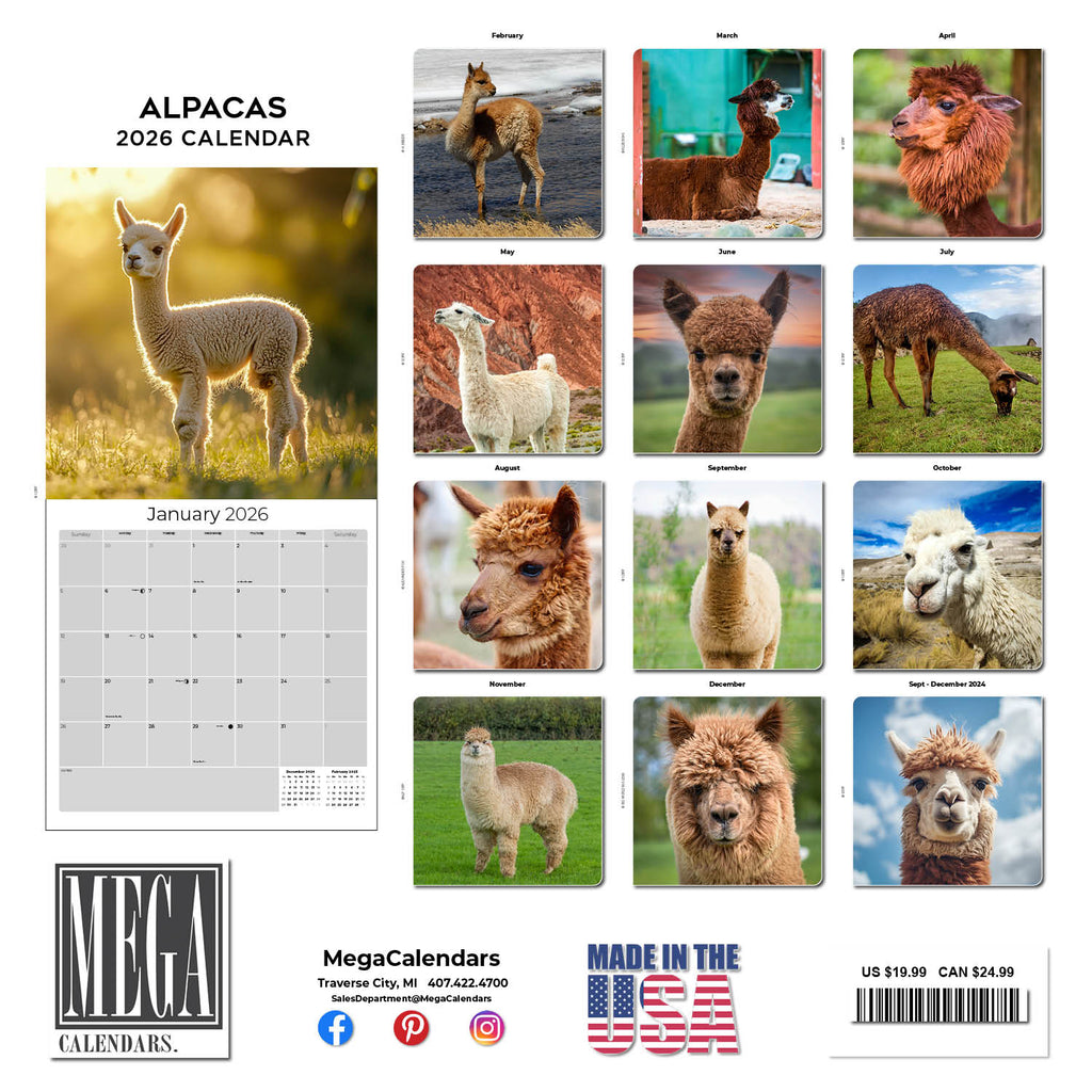 Alpacas Wall Calendar 2026