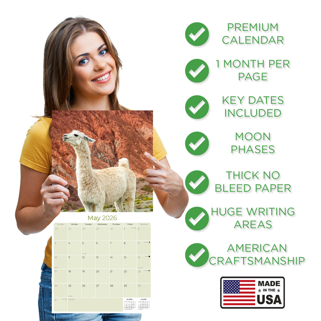 Alpacas Wall Calendar 2026
