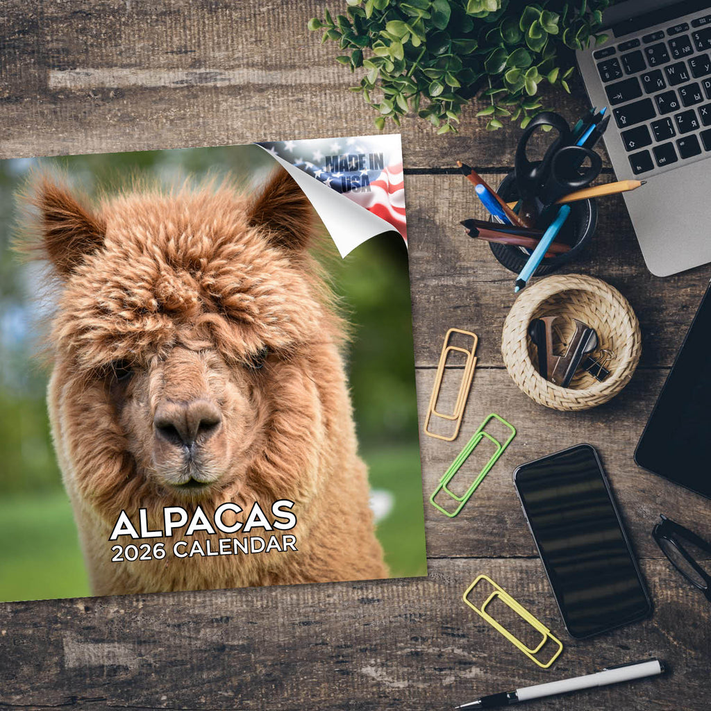 Alpacas Wall Calendar 2026