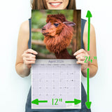 Alpacas Wall Calendar 2026