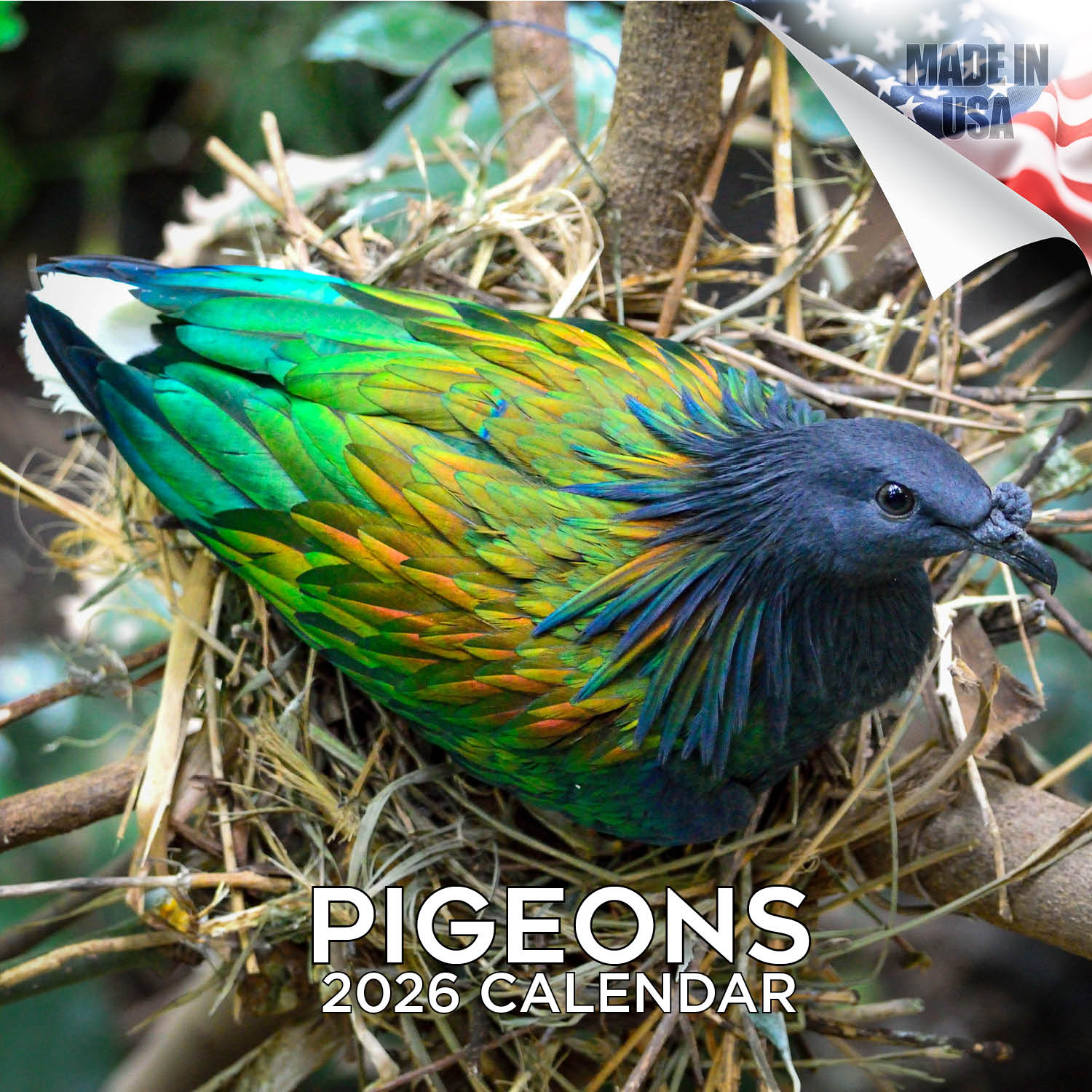 Pigeons Wall Calendar 2026