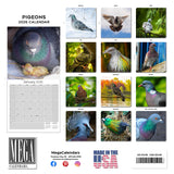 Pigeons Wall Calendar 2026