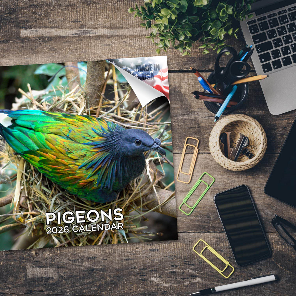 Pigeons Wall Calendar 2026