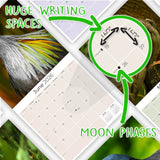 Pigeons Wall Calendar 2026