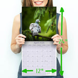 Pigeons Wall Calendar 2026