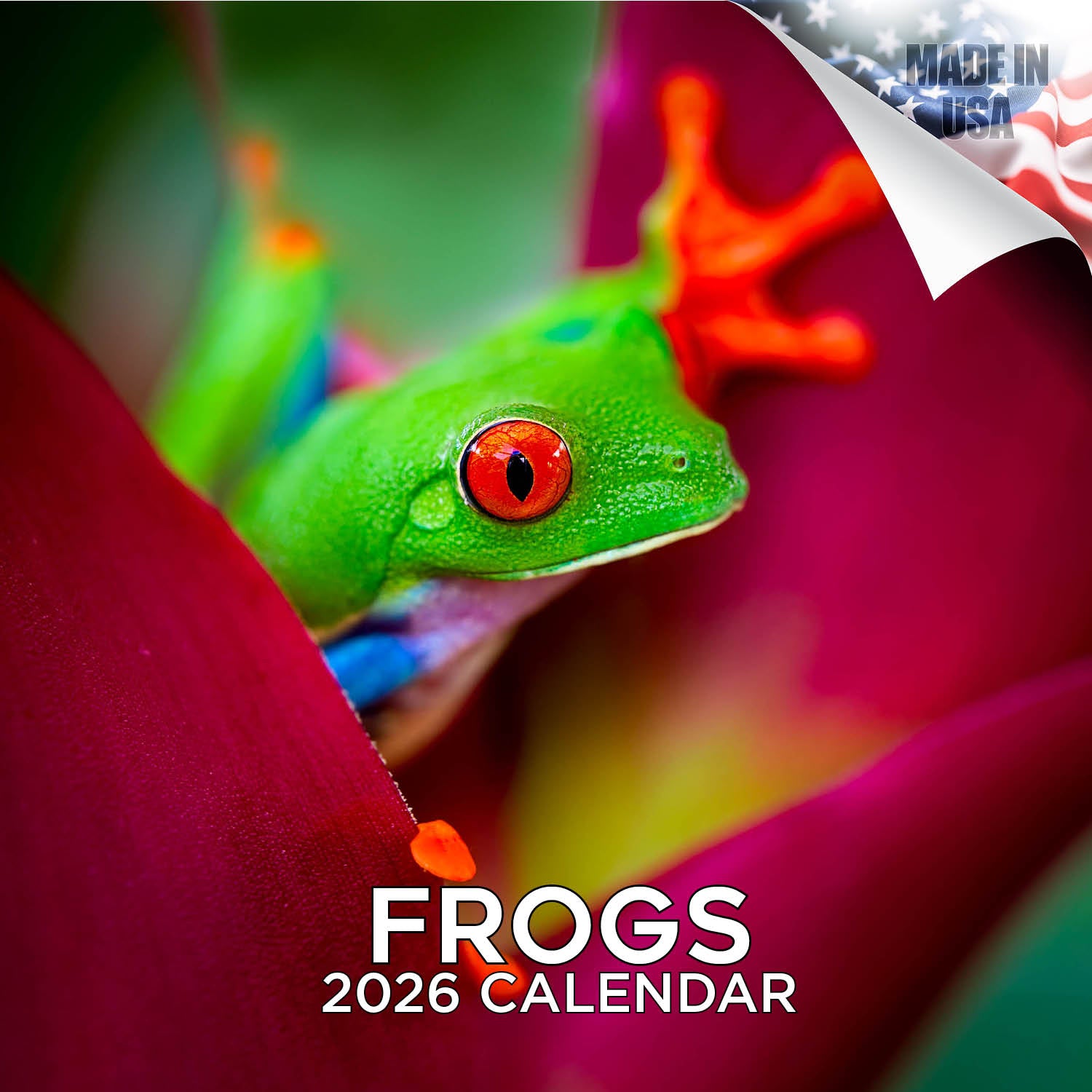 Frogs Calendar 2026