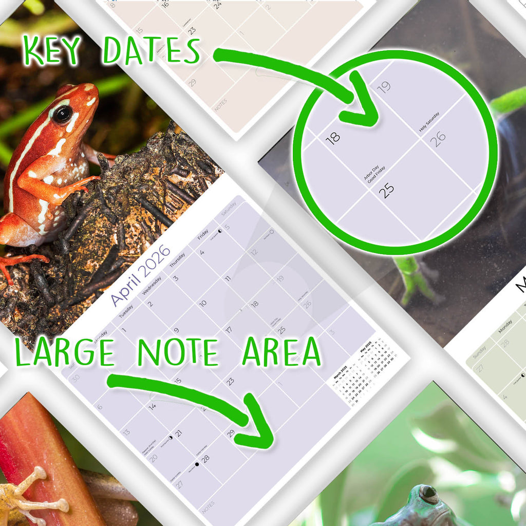 Frogs Calendar 2026