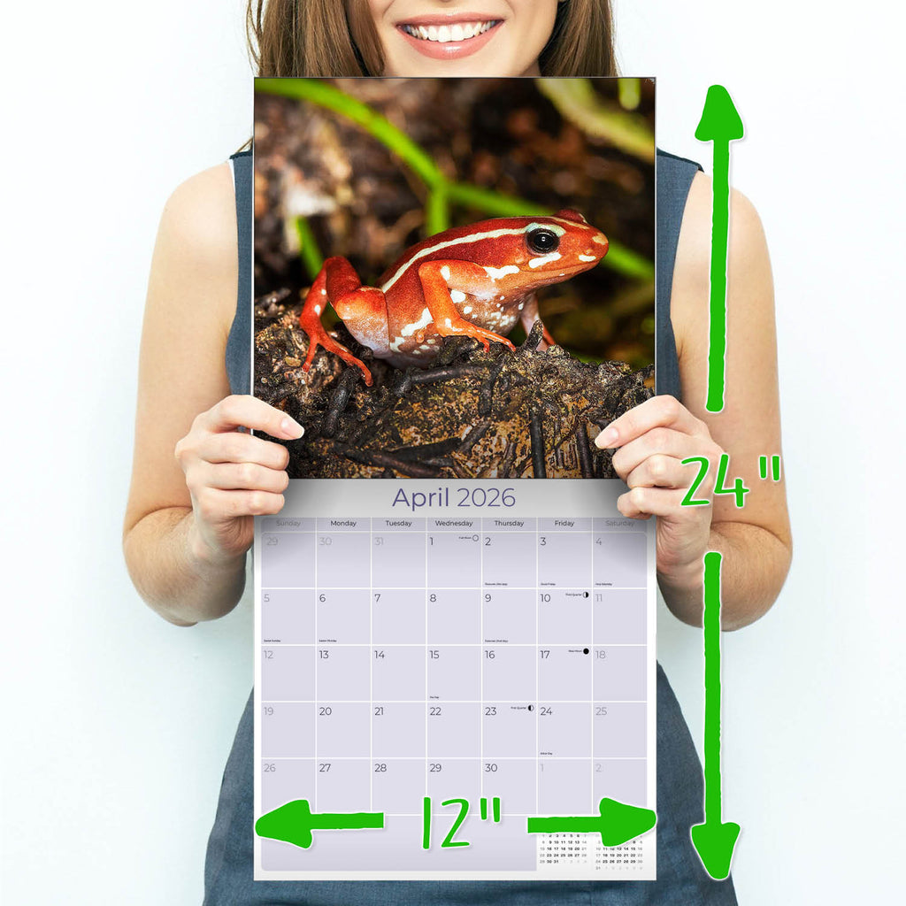 Frogs Calendar 2026