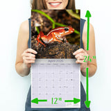 Frogs Calendar 2026