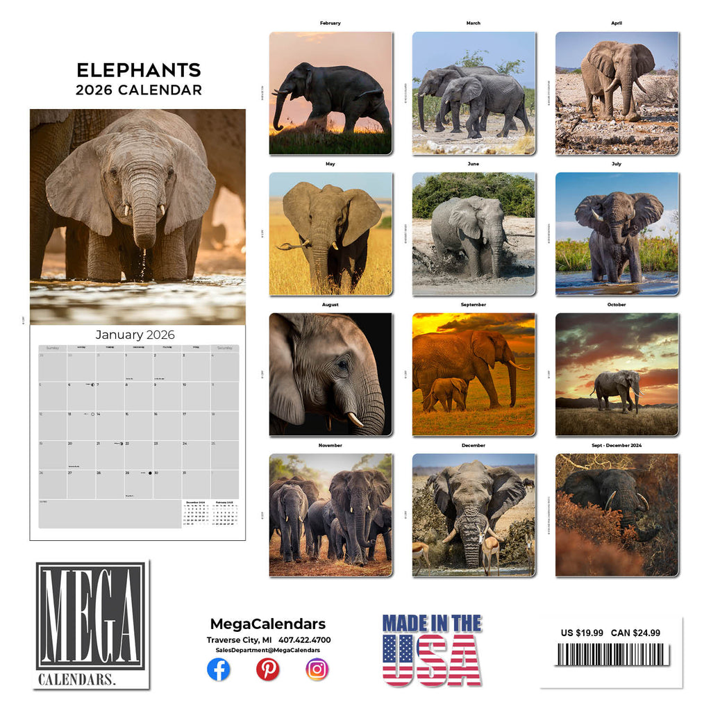 Elephants Wall Calendar 2026