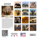 Elephants Wall Calendar 2026
