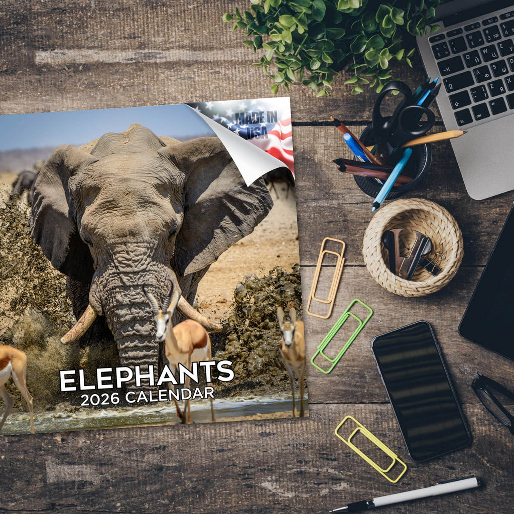 Elephants Wall Calendar 2026