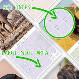 Elephants Wall Calendar 2026