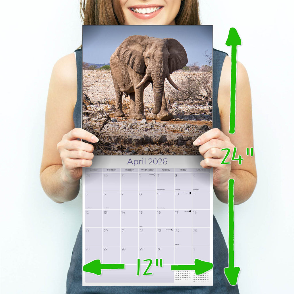 Elephants Wall Calendar 2026