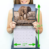 Elephants Wall Calendar 2026