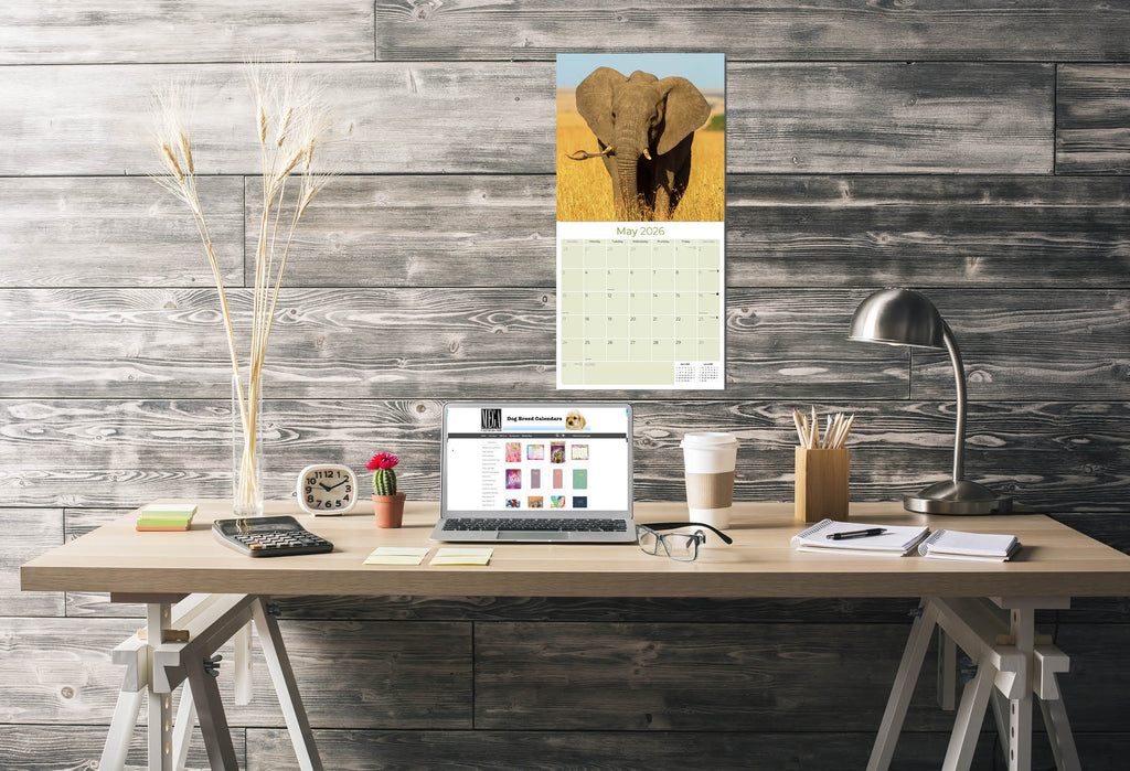 Elephants Wall Calendar 2026