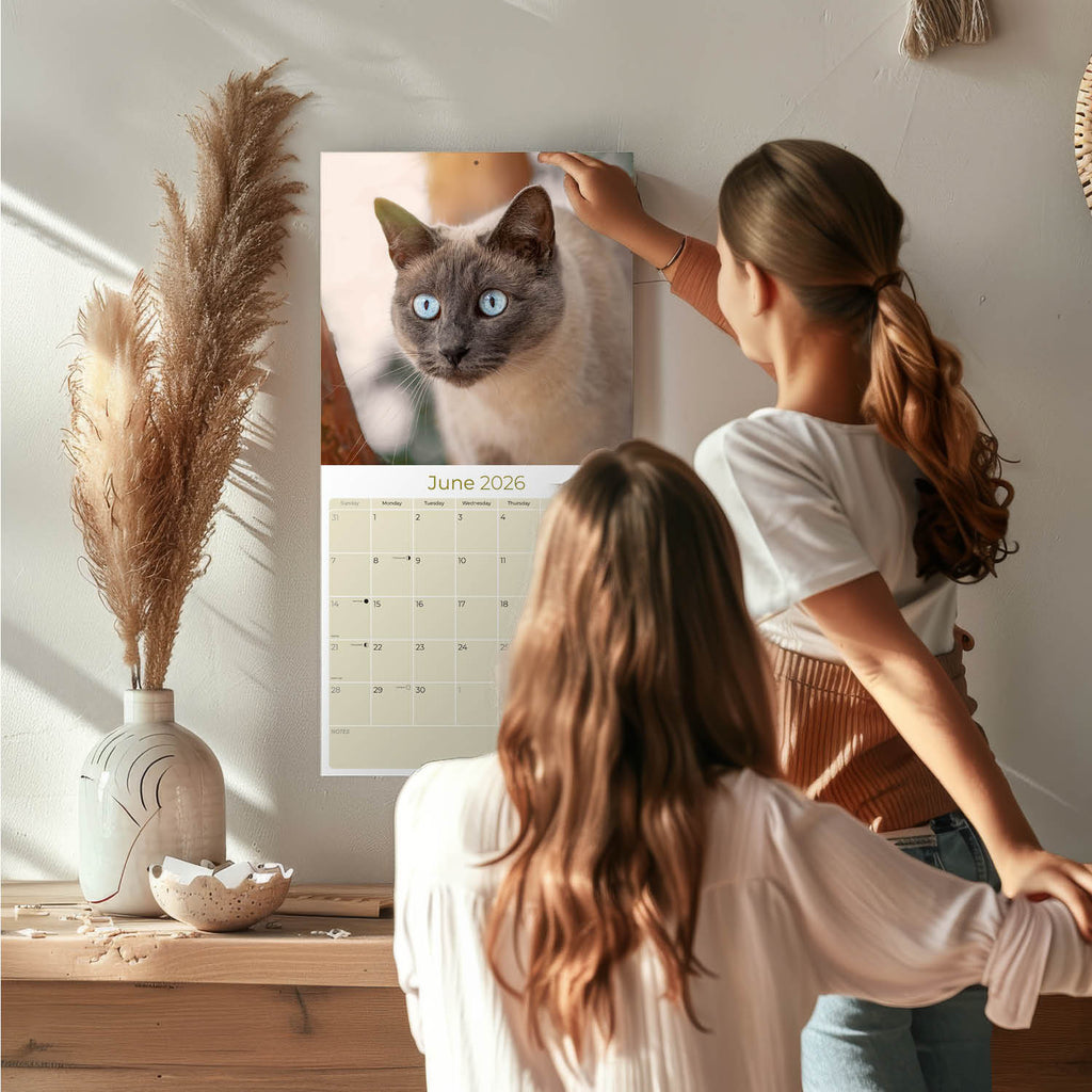 Cats - Siamese Wall Calendar 2026