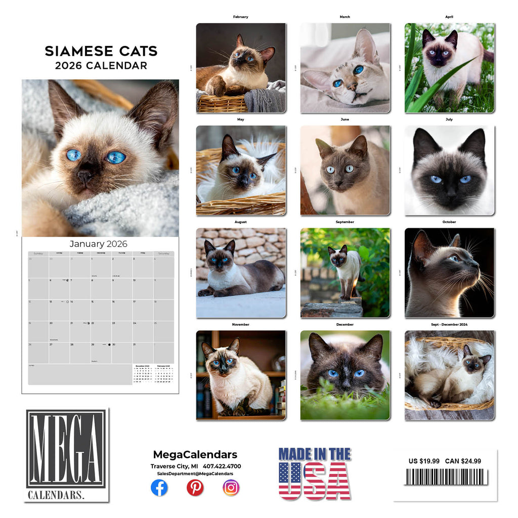 Cats - Siamese Wall Calendar 2026