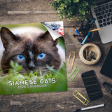 Cats - Siamese Wall Calendar 2026
