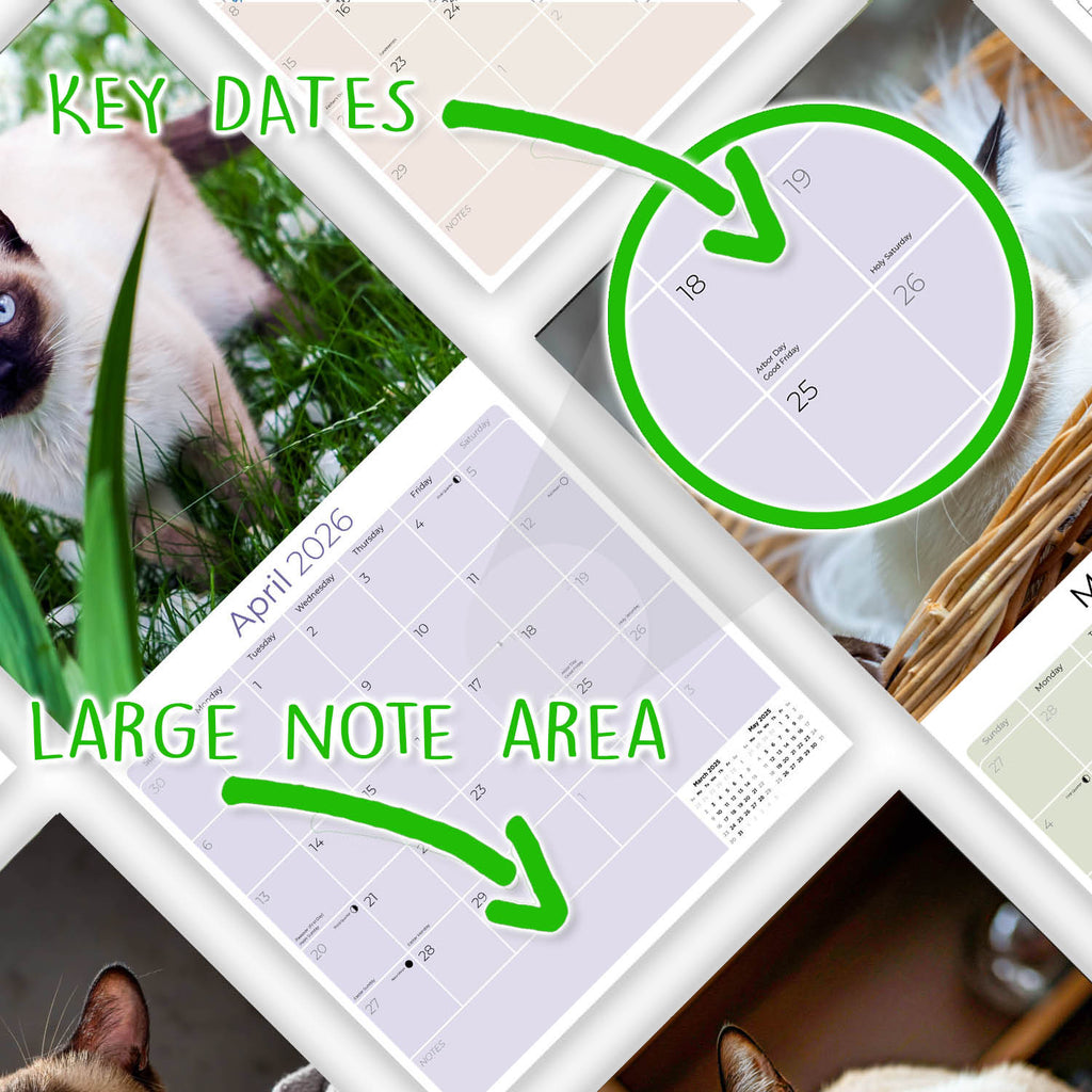 Cats - Siamese Wall Calendar 2026