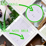 Cats - Siamese Wall Calendar 2026
