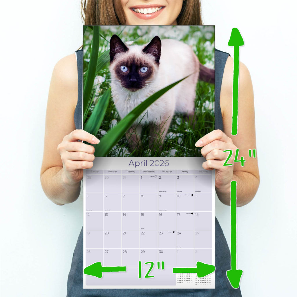 Cats - Siamese Wall Calendar 2026
