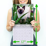 Cats - Siamese Wall Calendar 2026