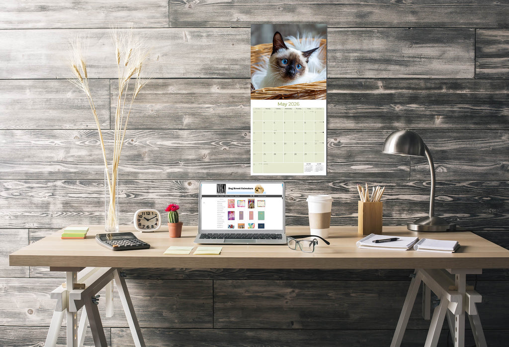 Cats - Siamese Wall Calendar 2026