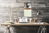 Cats - Siamese Wall Calendar 2026