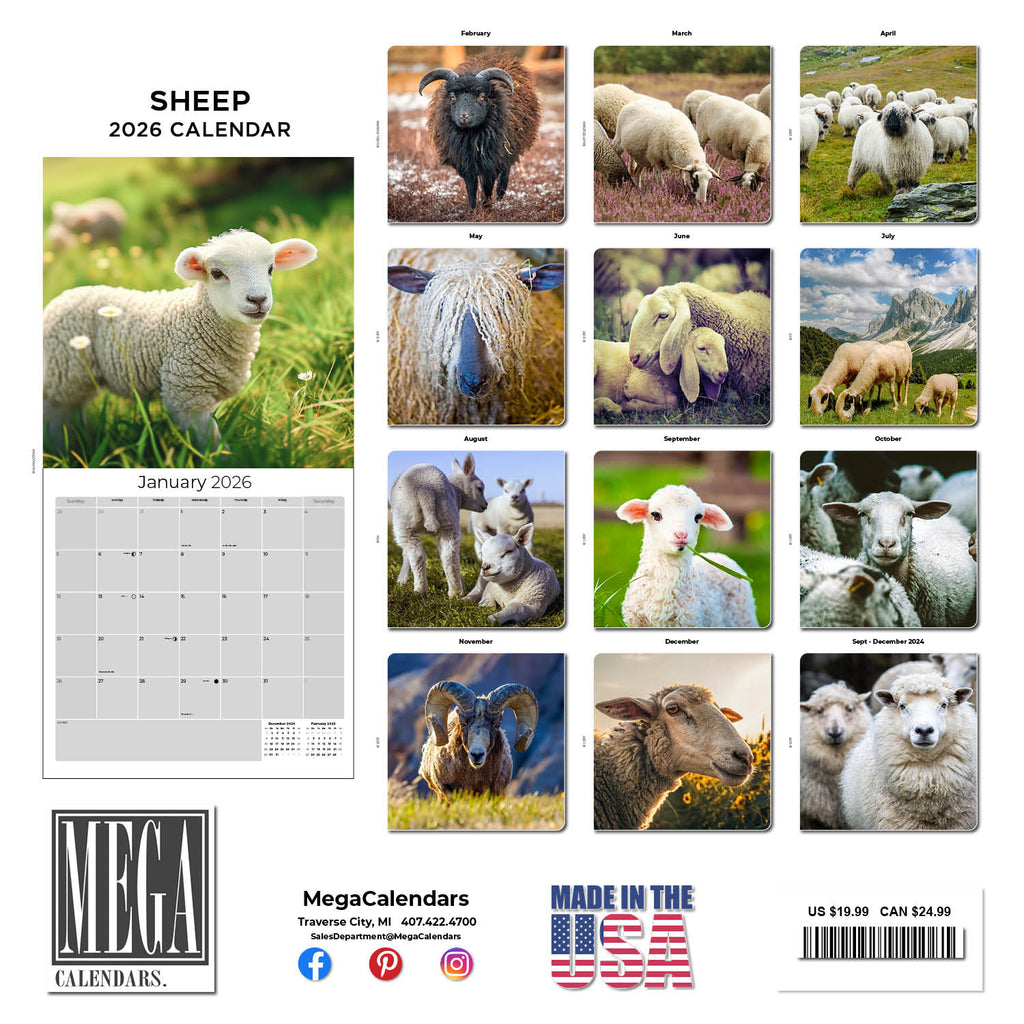 Sheep Wall Calendar 2026