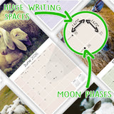 Sheep Wall Calendar 2026