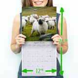 Sheep Wall Calendar 2026