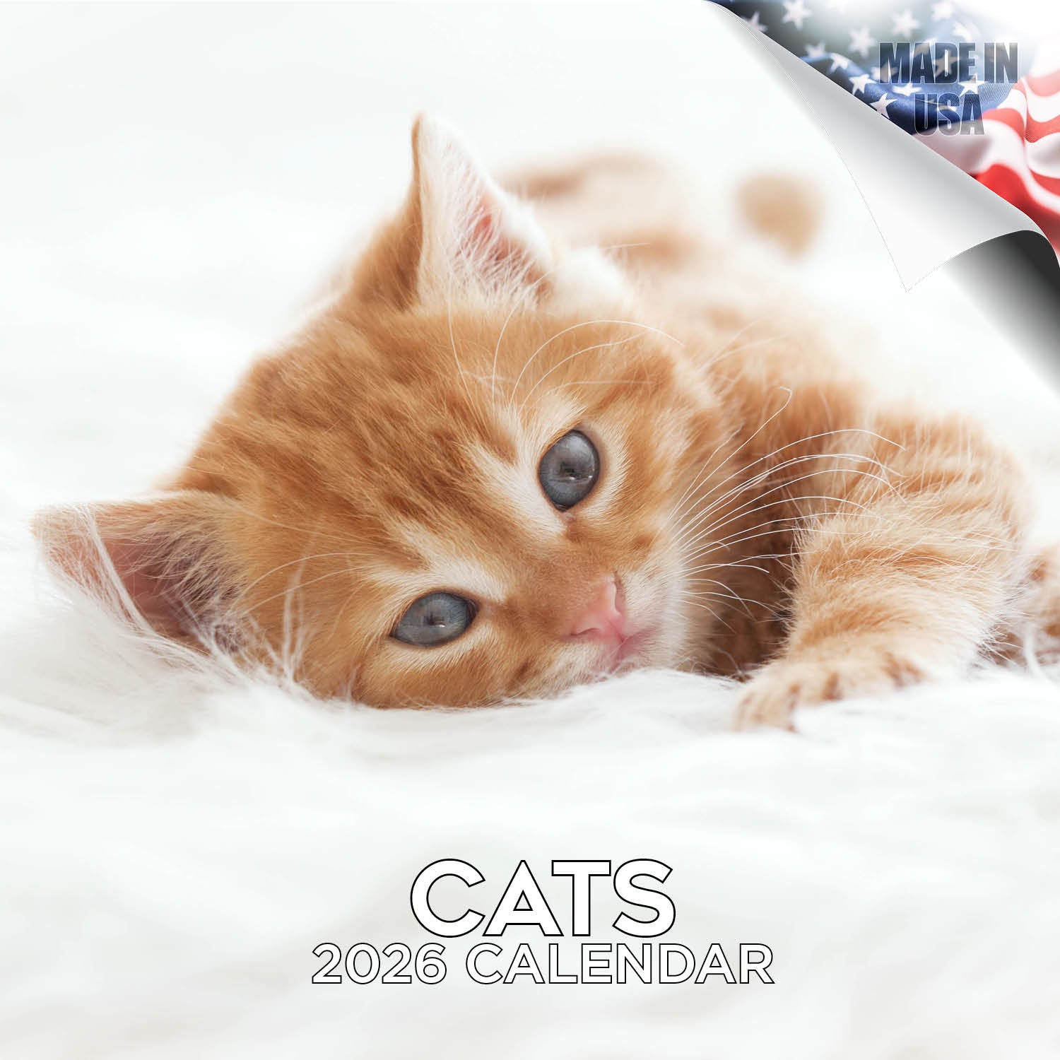 Cats Wall Calendar 2026