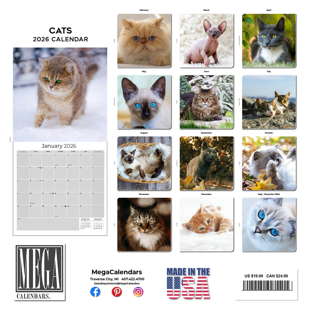 Cats Wall Calendar 2026