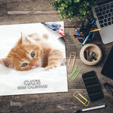 Cats Wall Calendar 2026