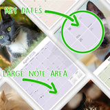 Cats Wall Calendar 2026