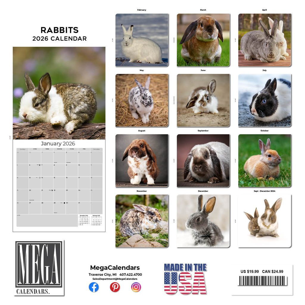 Rabbits Wall Calendar 2026