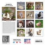Rabbits Wall Calendar 2026