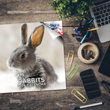 Rabbits Wall Calendar 2026