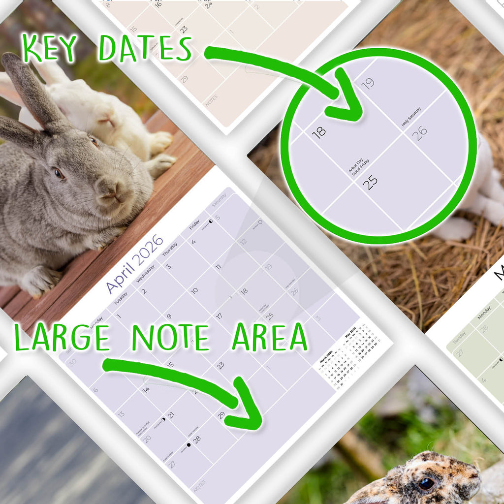 Rabbits Wall Calendar 2026