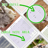Rabbits Wall Calendar 2026
