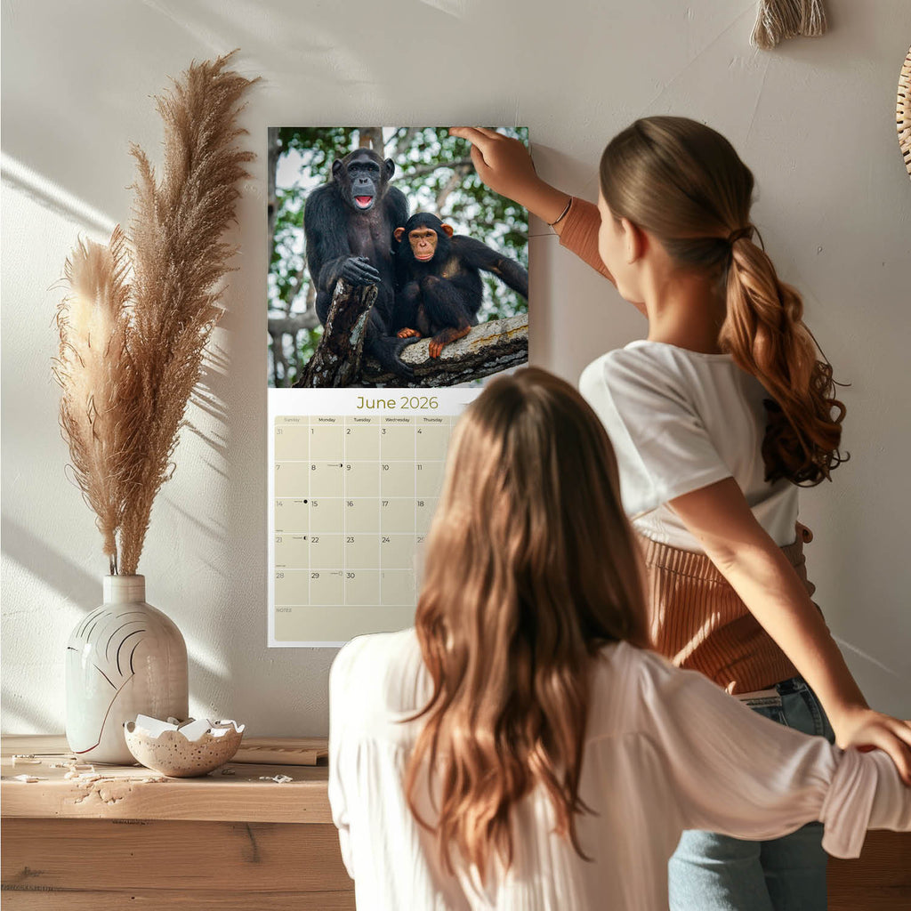 Apes Wall Calendar 2026