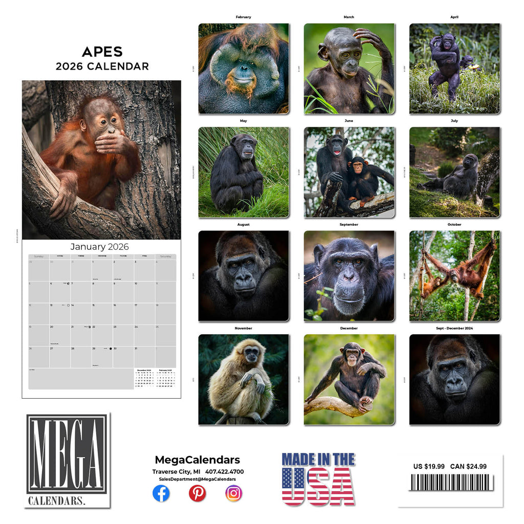 Apes Wall Calendar 2026