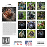 Apes Wall Calendar 2026