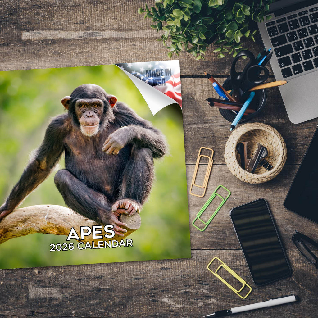 Apes Wall Calendar 2026