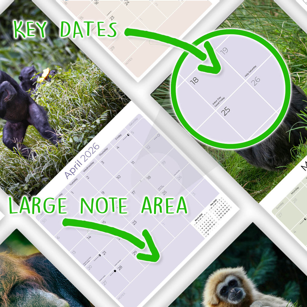 Apes Wall Calendar 2026