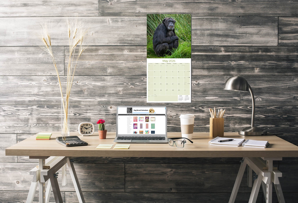 Apes Wall Calendar 2026