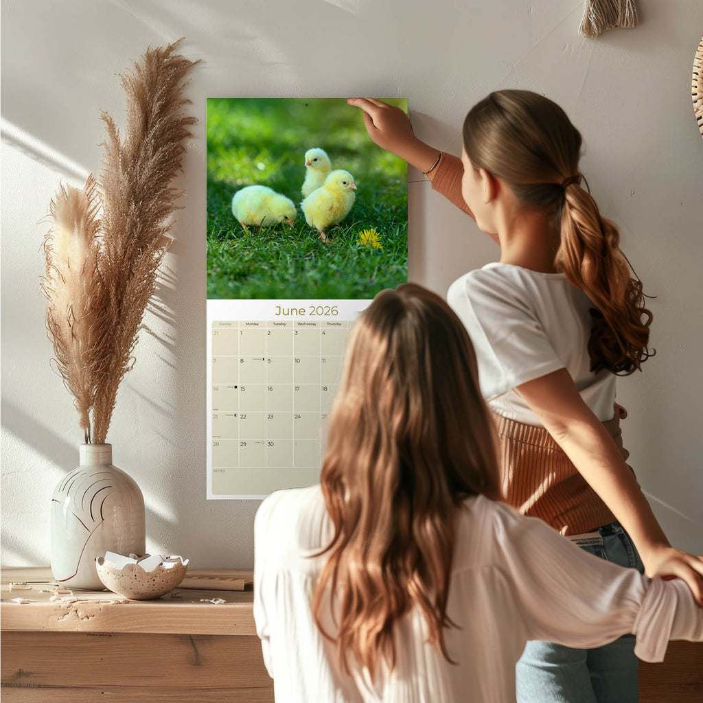 Chickens Wall Calendar 2026